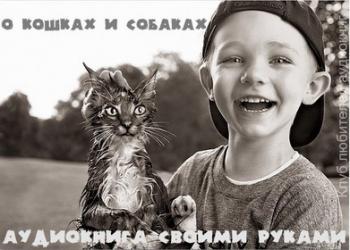 О кошках и собаках