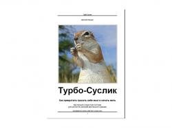 Турбо-Суслик 2010 PDF