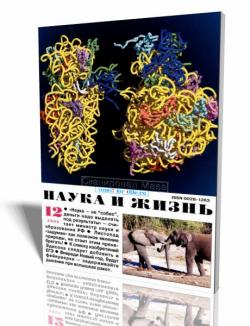 Наука и жизнь №12