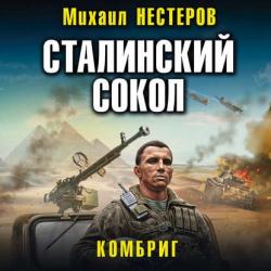 Сталинский сокол 2, Комбриг